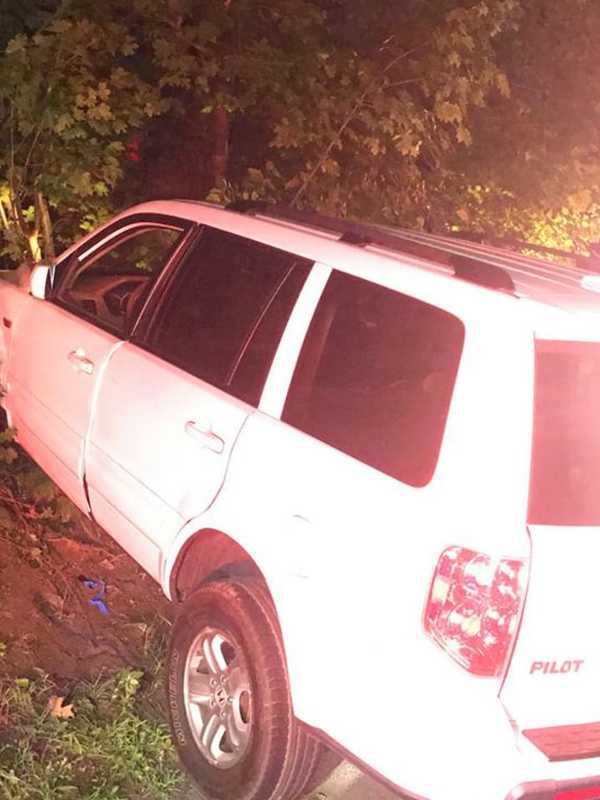 Man Crashes Through Hedges, Into Patio Bench, Tree In Rockland