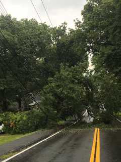 Tree Brings Down Power Lines, Igniting Fire In Valley Cottage