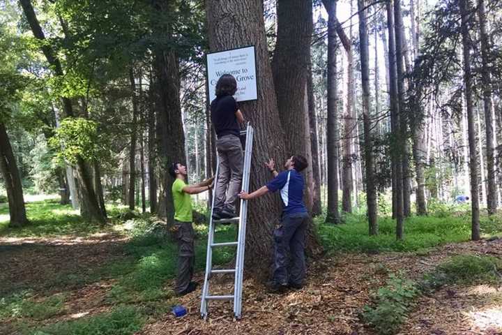 Land Conservancy Volunteers Help Keep Pound Ridge Green And Clean