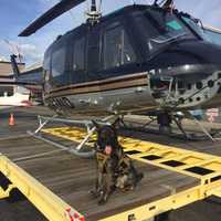 <p>Stratford Police K9 Hex with a helicopter at Sikorsky Memorial Airport</p>