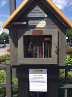 Little Libraries Pop Up In Monroe Thanks To Edith Wheeler Memorial Library