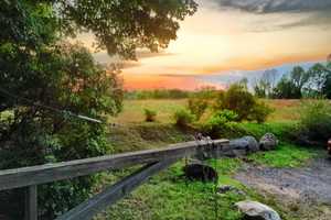 Ossining's Cliffdale Farm Hosts Hike
