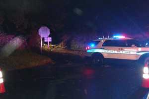 Downed Trees, Power Lines Reported In Brookfield After Storm