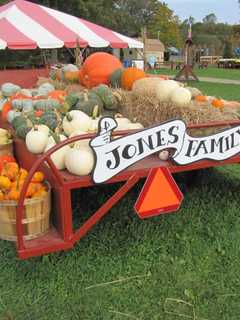 Pick Your Own Turns To Apples & Pumpkins This Fall In Fairfield County
