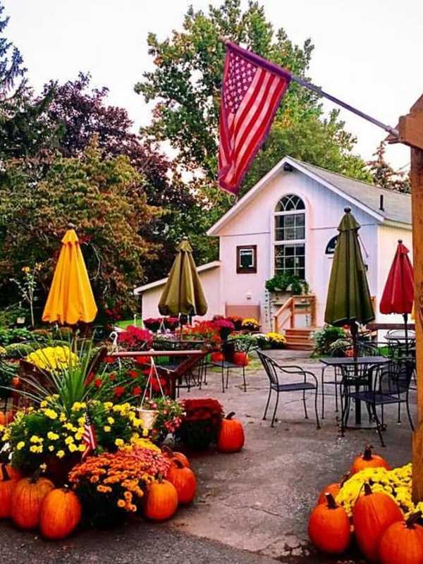 Plenty Of Places In Orange County To Get Your Apple Picking Fix