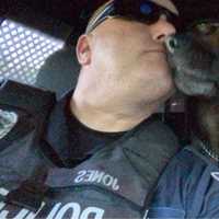 <p>K9 Edo and Officer Jones</p>