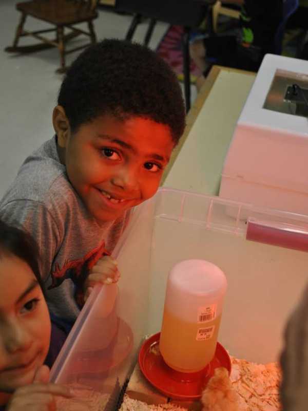 Danbury’s Morris Street Elementary Earns National Blue Ribbon Honor