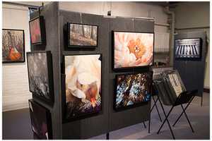 Come To Grand Opening Party Of Meraki Gallery In Garnerville