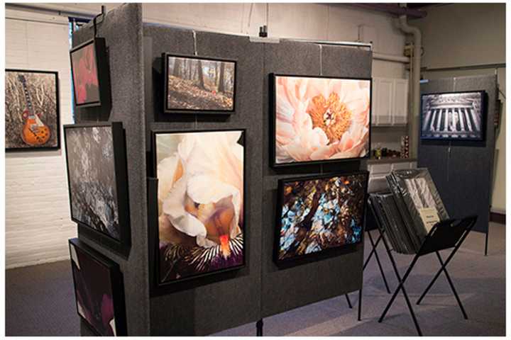 Come To Grand Opening Party Of Meraki Gallery In Garnerville
