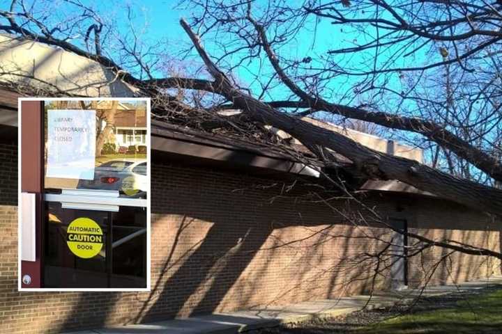 Ssssshhhh! Tree Falls On Washington Township Library