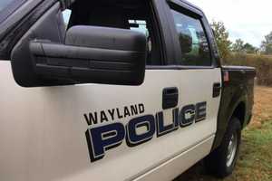 Wayland Officer Fatally Shoots Dog That Attacked Him On 911 Call: Police