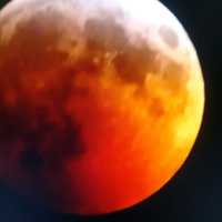 Did You See Super Blood Wolf Moon? 2021 Is Your Next Chance