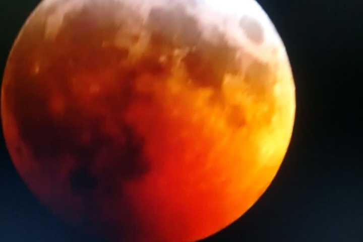 Did You See Super Blood Wolf Moon? 2021 Is Your Next Chance