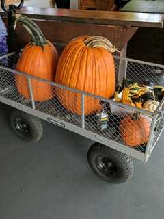 Pick A Pumpkin: Shelton Farms Offers All You Can Carry