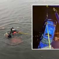 <p>A Lyndhurst Fire Department rescue diver who searched the vehicle and immediate area and found no additional victims.</p>