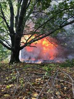 Several Pets Killed In Fire That Destroys Red Hook Home
