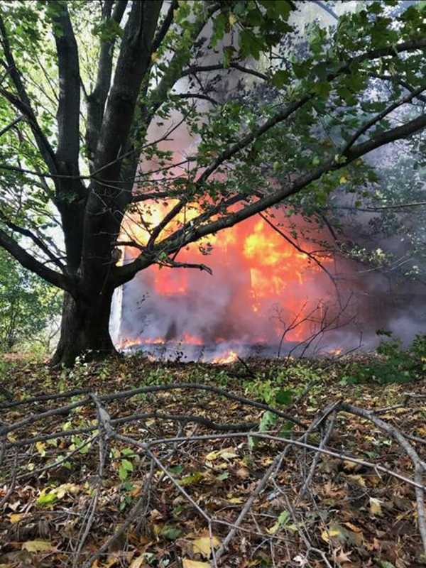 Several Pets Killed In Fire That Destroys Red Hook Home