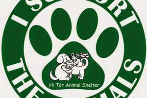 Hi Tor Shelter Suspends Animal Surrender Service Amid Ringworm Outbreak