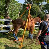 <p>Dozer up on his feet.</p>