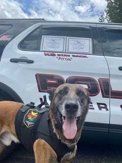 ‘Rest Easy:’ Beloved Northampton County K9 Officer ATOS Dies After More Than 7 Years On Force