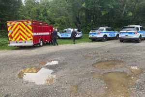 Person, Dog Rescued From River In Western Mass