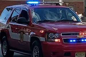 Tree Worker Electrocuted By Power Line In Montville: Police