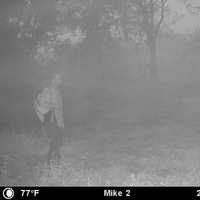 <p>The image was captured on a deer camera in Northwestern Florida.</p>