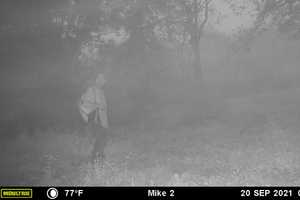 Missing Gabby Petito Boyfriend May Have Been Seen On Deer Cam