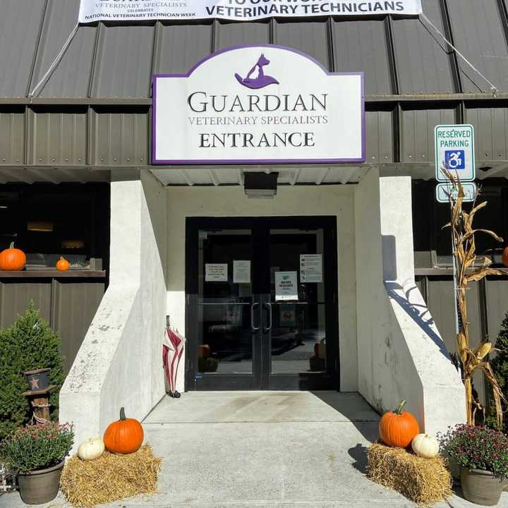 Guardian Veterinary Specialists 24 Hour Emergency Hospital in Putnam County.