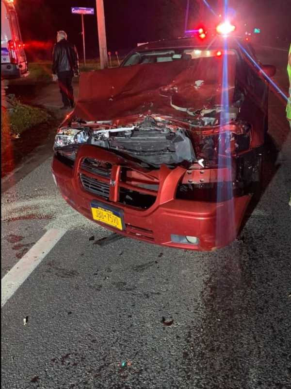 Cow Crashes Into Car On Busy Hudson Valley Roadway