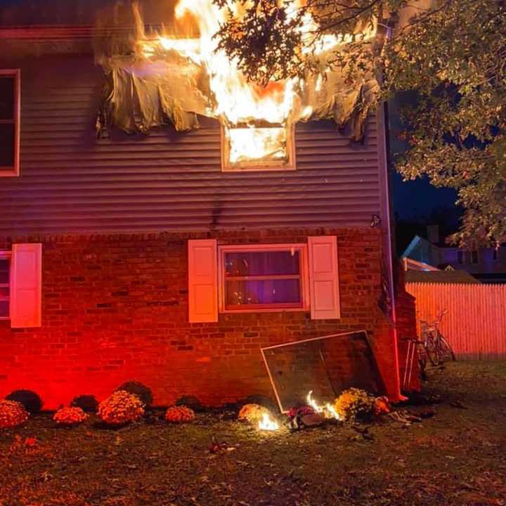 A cat died in a house fire in Greenlawn.