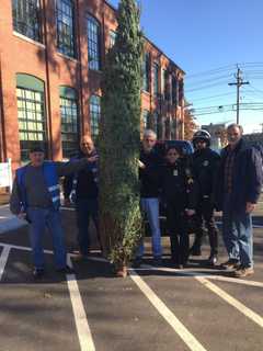 Special Delivery: Christmas Tree Brightens Spirits At Norwalk Shelter