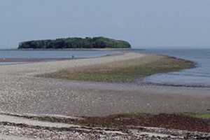 Children, Adults Rescued From Long Island Sound Waters