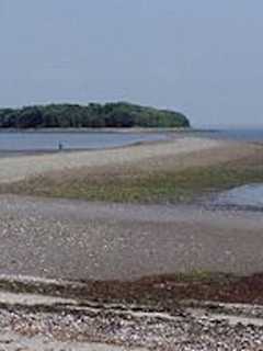 Bones Discovered At Silver Sands State Park