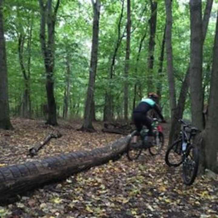 A bicyclist had to be rescued after falling off his bike at Graham Hills Park.