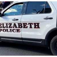 Pit Bull Shot Dead After Attacking Elizabeth Cop: Authorities