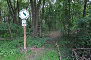 Demarest Nature Center Organizes 'Breakfast In The Woods' Fundraiser