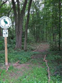 Demarest Nature Center Organizes Nature Walk, Volunteer Day