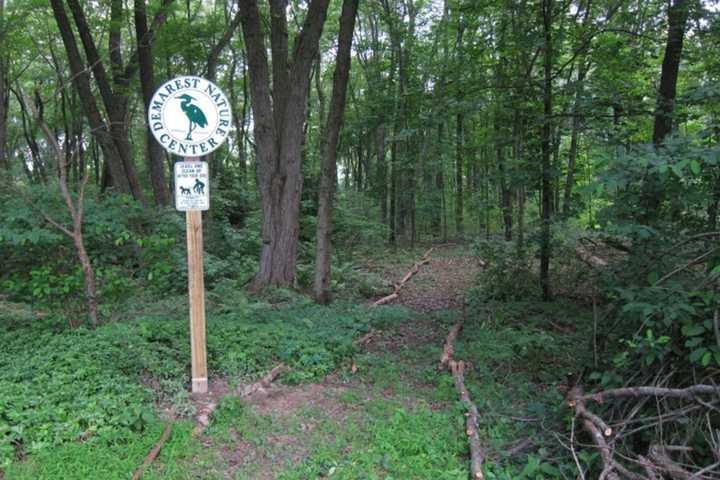 Demarest Nature Center Organizes 'Breakfast In The Woods' Fundraiser