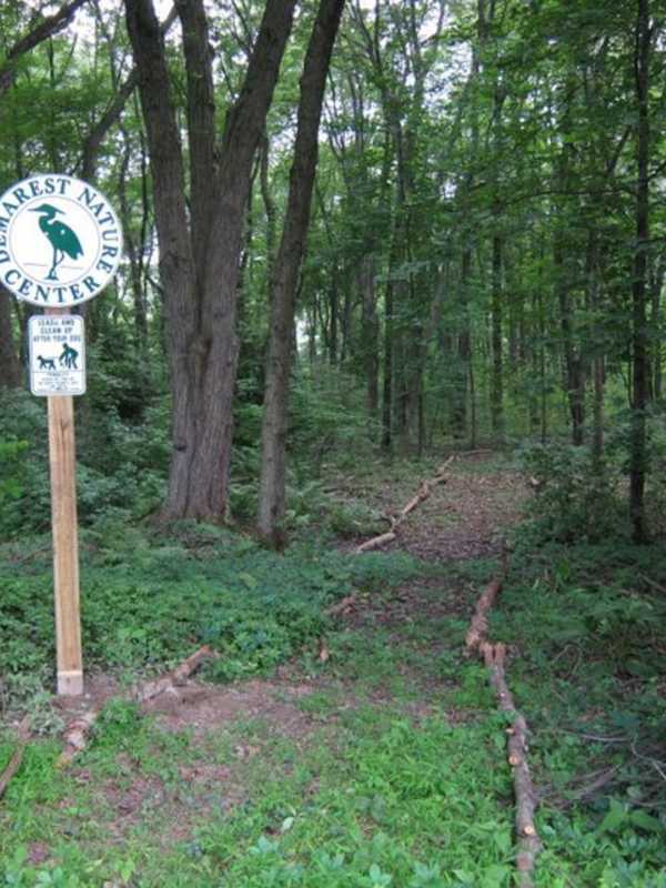 Demarest Nature Center Organizes Nature Walk, Volunteer Day