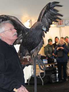 Annual EagleFest Bringing Thousands To Croton Point Park