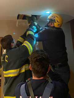 ‘Eight Lives Left:’ Crews Save Curious Cat Trapped In Hunterdon County Heating Duct