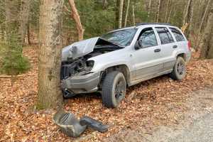 Car Crashes Into Tree After Driver Swerves To Avoid Deer In Massachusetts