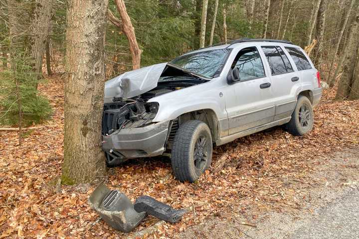 SUV Crashes Into Tree After Driver Swerves To Avoid Deer In Hampden County, Police Say