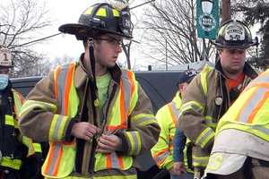 Pig Succumbs To Injuries From Fair Lawn Fire