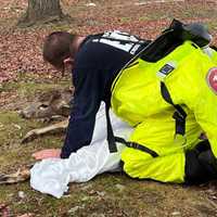 <p>Deer rescue</p>