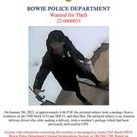 <p>Flyer of suspected Amazon Delivery Driver and Thief</p>