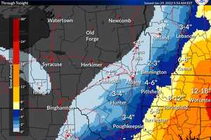 Nor'easter: Snowfall Totals Adjusted Again; Here Are Areas Most At Risk For Power Outages