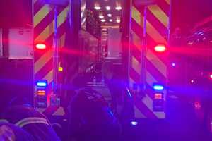 Hanging Victim Cut Down From Elizabeth Tree