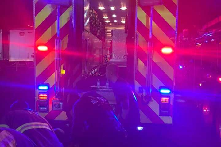 Hanging Victim Cut Down From Elizabeth Tree
